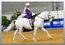 Всероссийские конные игры. 04-13.05.2007